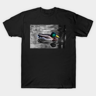 Mallard Duck T-Shirt